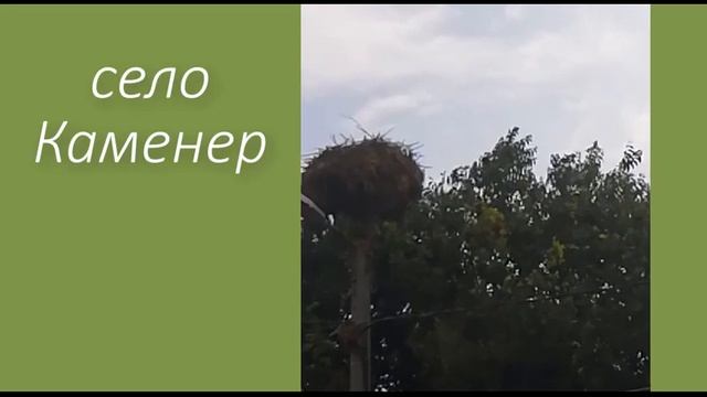 Влог. Отдых в Болгарии. Любимые места рядом с Солнечным Берегом в Болгарии.Скрапбукинг смотреть онлайн
