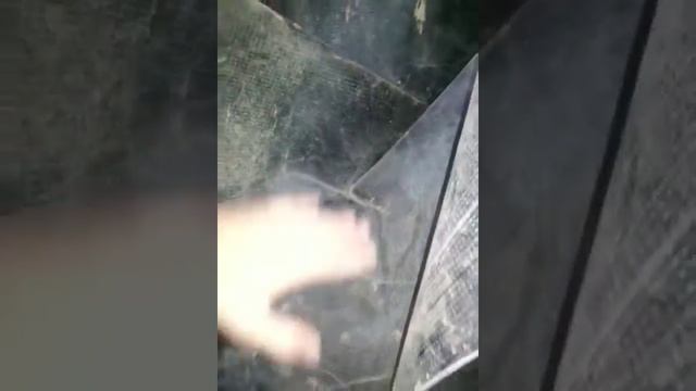 гидроизоляция в углу пристройка/спортзал