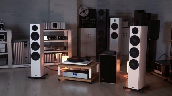 Чипирование звука: акустика System Audio Legend 40.2 Silverback