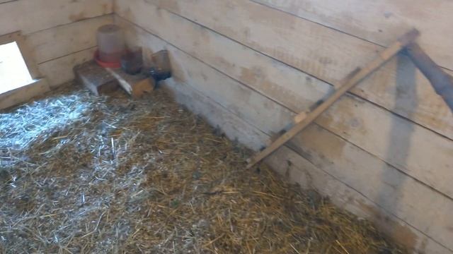 Теплая подстилка в курятнике смотреть онлайн