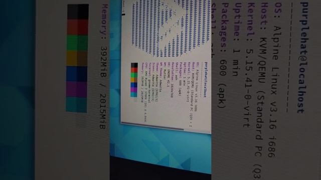 BIg Brain Alpine linux now has an Easy setup desktop script! смотреть онлайн