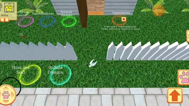 вот как побыстрее накопить деньги в игре Cutie cat. смотреть онлайн