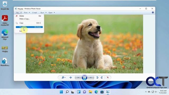 How to Use the Windows Photo Viewer with Windows 11 (and Windows 10) смотреть онлайн