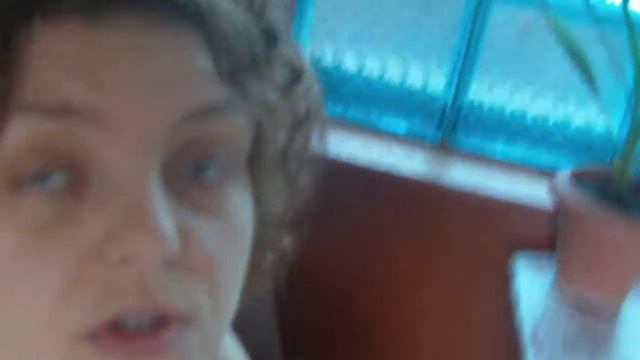 ВИДЕО ДНЕ ВНИК ЕВСТИГНЕЙКИНОЙ ИРИНЫ ПОМИДОРЫ смотреть онлайн