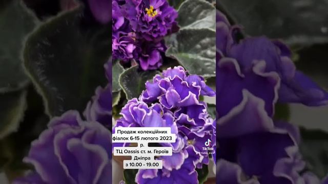12 февраля 2023 г. смотреть онлайн