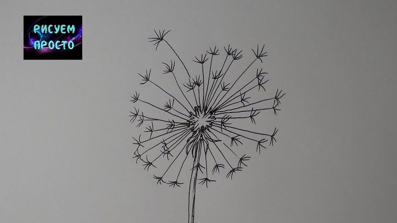 Идея рисунка для скетчбука ОДУВАНЧИК_290_The idea of the drawing for DANDELION sketchbook смотреть онлайн