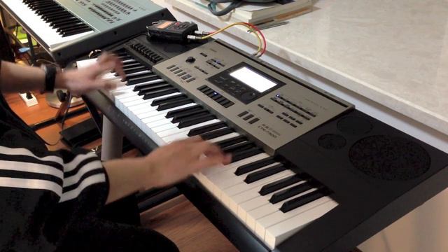 "Totoro" with CASIO CTK-7300 смотреть онлайн