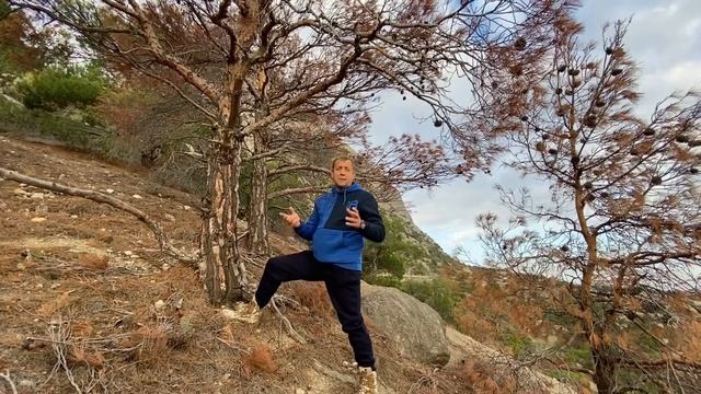 Олег Зубков . Крымская сосна массово гибнет ! Нужно срочно реагировать ! смотреть онлайн