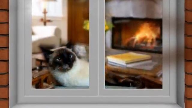 Окна Комфорта 2012 смотреть онлайн