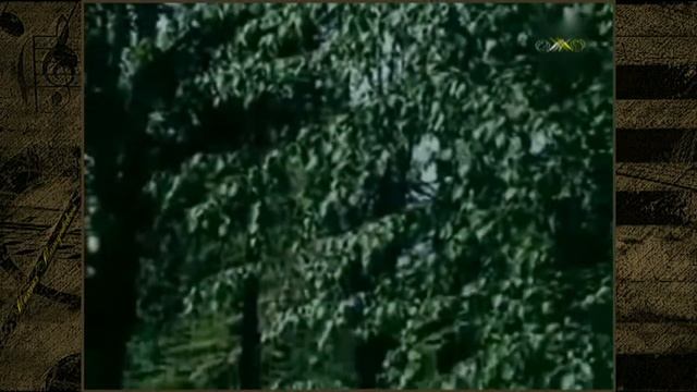 Лаки Кесоглу - Береза белая смотреть онлайн