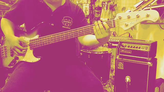 Bacchus Global Series - Woodline 5 Bass Guitar