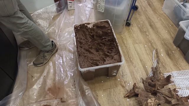 Аквариум во флорариум за один день смотреть онлайн