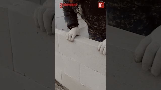 Кладка блоков на пено клей зимой: плюсы #shorts #газобетон #tytan смотреть онлайн