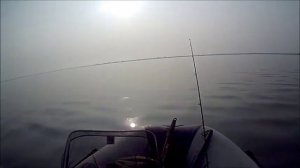 лодка YAMARAN 280 и TOHATSU 9.8