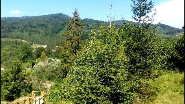 Рыбалка и отдых в Золотой форели смотреть онлайн