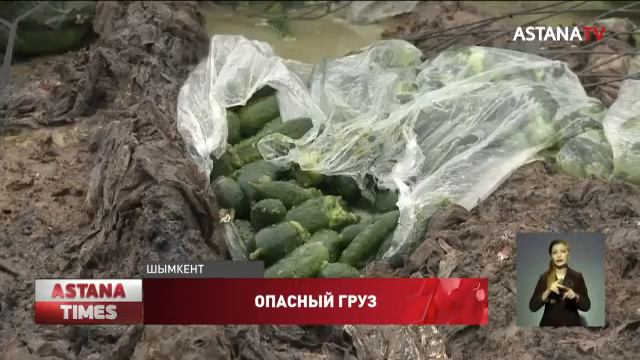 Зараженные огурцы из Ирана пытались продать в Шымкенте