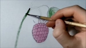 Как нарисовать малину поэтапно!