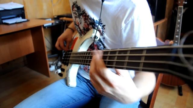 The Browning - Slaves (bass cover by The Contradiction) смотреть онлайн