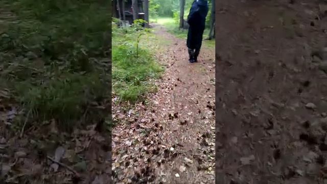 Рыбалка на реке Уфа,разведуем места. 9 декабря 2021 г. смотреть онлайн