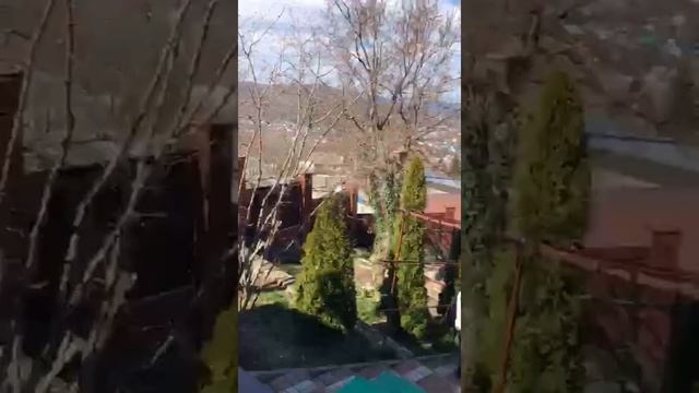 Ребёнок гоняет гусей по деревне смотреть онлайн