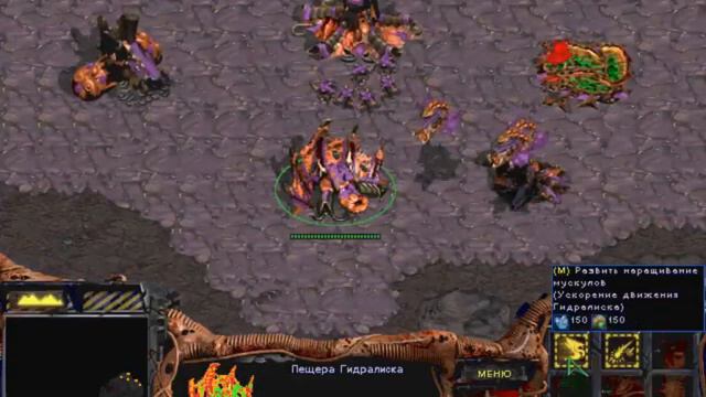 #7.Прохождение StarCraft 1. Зерги. "Естественный отбор".Часть 1. смотреть онлайн