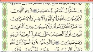 Шейх Айман Сувейд сура Ат Тауба 191