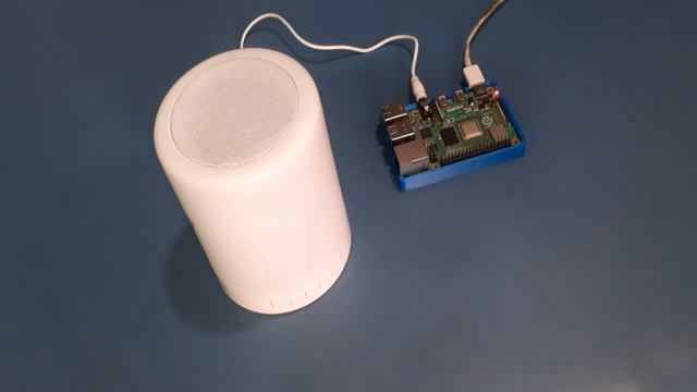 Best Text to Speech Converter for Raspberry Pi | eSpeak, Festival, Googles TTS, Pico and PYTTSX3 смотреть онлайн