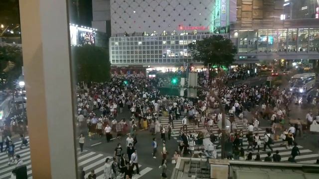 Токио.Знаменитый перекресток Сибуя.