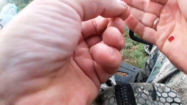 Ловля карася на фидер на озере. Фидерная рыбалка разнорыбицы. Рыбалка в Беларуси. смотреть онлайн