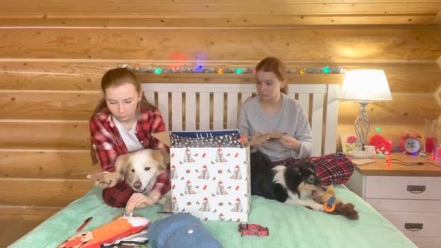 Распаковка подарков собакам на Новый год ?.| Обзор покупок для собак| Box for dogs смотреть онлайн