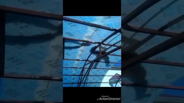 Как построить теплицу из поликарбоната своими руками смотреть онлайн