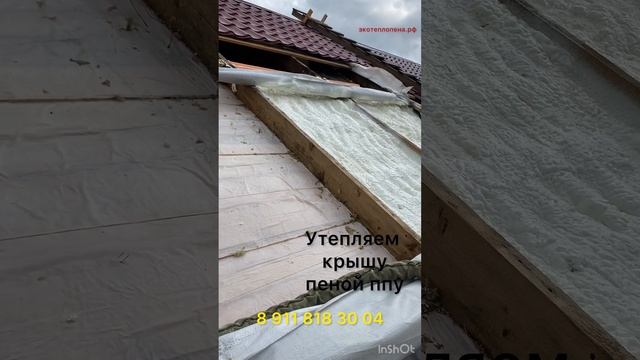 Утепление  пеной в Пскове, утепление ппу в Пскове