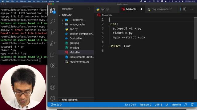 opencvを使ったwebアプリをつくる #003 pythonのlint環境整備 mypyもあるよ смотреть онлайн