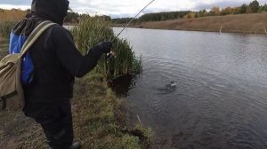 Ловля щуки и окуня на легкий джиг