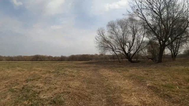 Велопрогулка по Коломенскому весной. смотреть онлайн