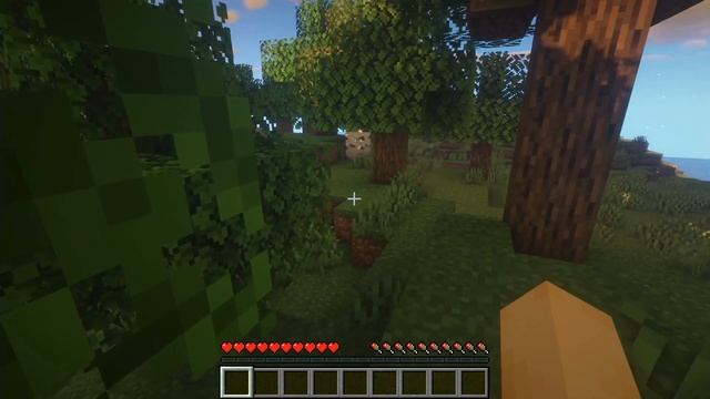 【マイクラJava版・Optifine・影MOD 2/2】マイクラをGPU起動できていますか！？おすすめ影モッドを２つ紹介！軽めのBSLと超絶キレイなSEUS Renewedを比較 смотреть онлайн