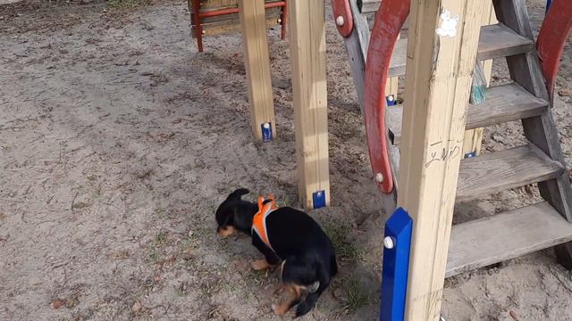 Нашей Роси 7 месяцев (1 января 2023 г.) смотреть онлайн