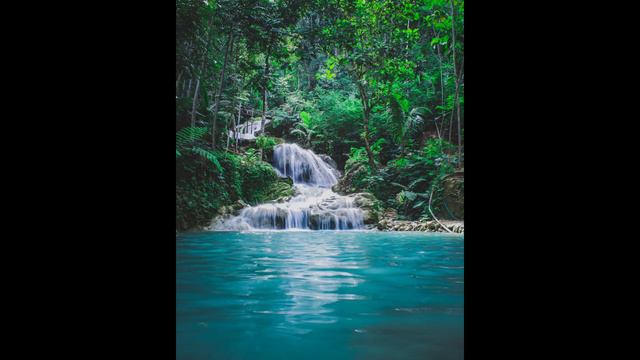 MEDITATE & RELAX With Forest Waterfall Sounds
