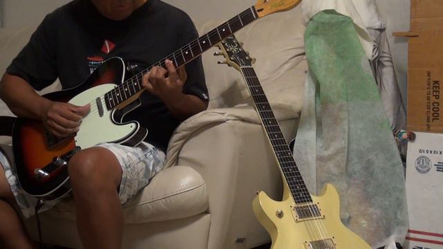 Vintage Fender Twin Reverb Amp смотреть онлайн