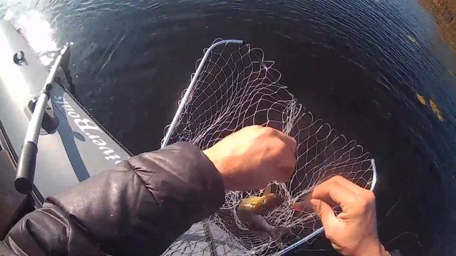 ХИЩНЫЙ МАРАФОН 2018. Т/Б ПЛЁС. смотреть онлайн