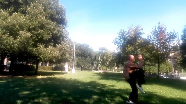 TAI CHI CHUAN - CHENG MAN CHING 37 FORM - Massimiliano Biondi (2019) смотреть онлайн