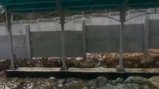 НАВЕС С ОДНИМ ОПОРНЫМ СТОЛБОМ! ТОЛЬКО УСИЛЕННЫЕ НАВЕСЫ. смотреть онлайн