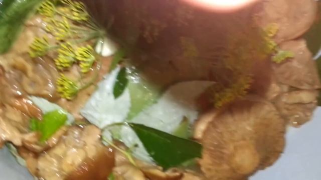 Чистота без компромиссов