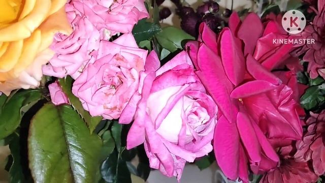 СТОЛ НА ДЕНЬ РОЖДЕНИЯ / НОВАЯ ПОСУДА ?/ ПРИЕХАЛИ ГОСТИ #2023 #видео #лайк #влог #осень #home