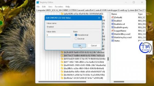 Fix “Error Code: 0XC0000035” Kernel Event Tracing on Windows