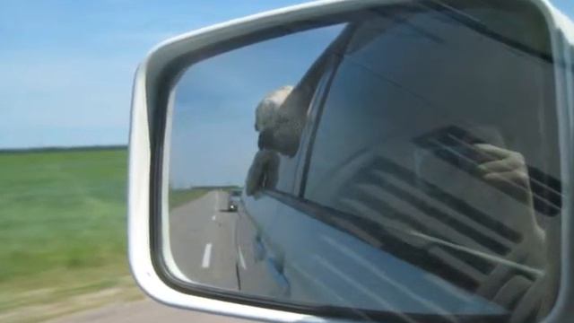 Собака Путешественница.wmv