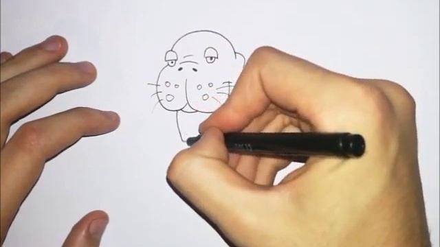 Kako nacrtati Morža / How to draw a Cartoon Walrus смотреть онлайн