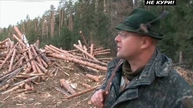 Охота на глухаря на току. Охота на глухаря весной - 2021г смотреть онлайн