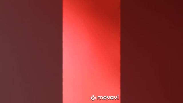 Мои ежедневки смотреть онлайн