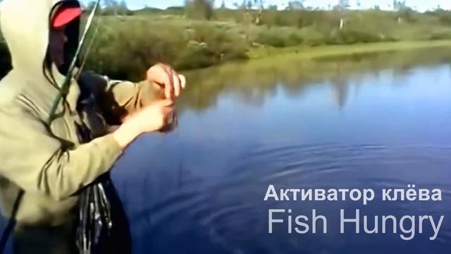ПРАВИЛЬНОЕ использование Fish Hungry смотреть онлайн